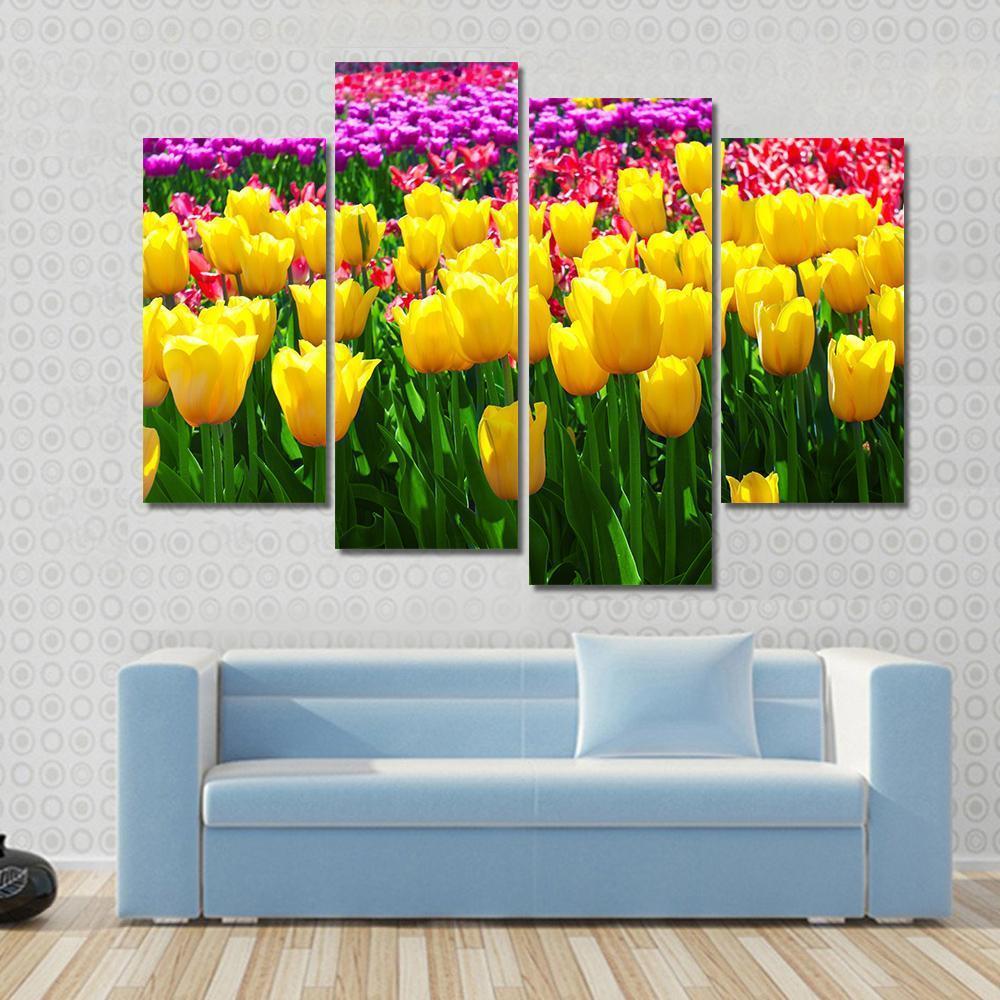 Tulips Field Yellow Flowers Canvas Wall Art-4 Pop-Gallery Wrap-50" x 32"-Tiaracle