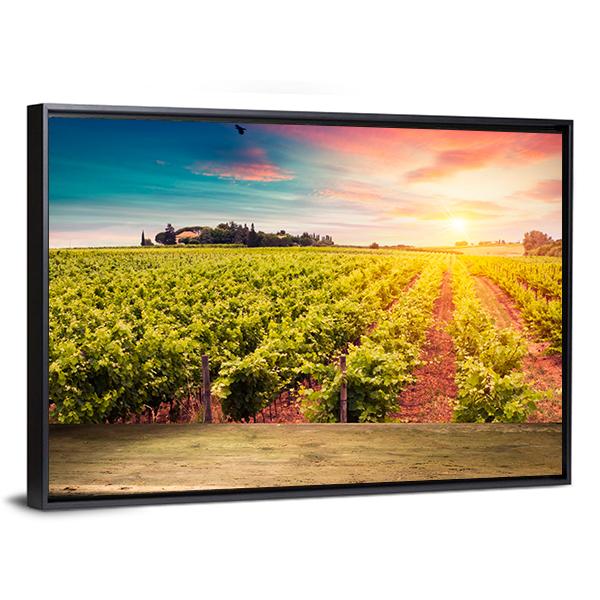 Tuscan vineyards At Sunset Canvas Wall Art-3 Horizontal-Gallery Wrap-25" x 16"-Tiaracle