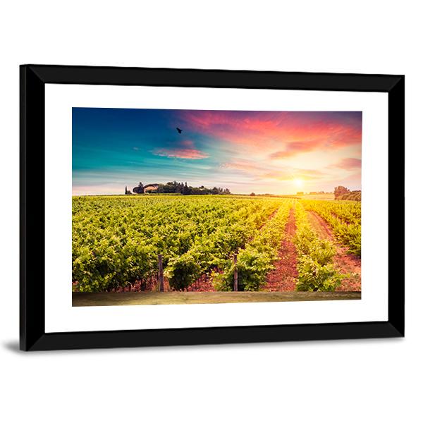 Tuscan vineyards At Sunset Canvas Wall Art-5 Horizontal-Gallery Wrap-22" x 12"-Tiaracle