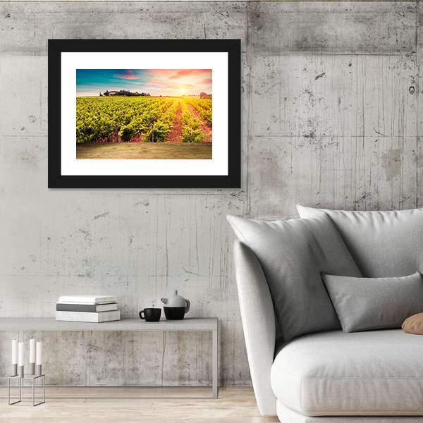 Tuscan vineyards At Sunset Canvas Wall Art-3 Horizontal-Gallery Wrap-25" x 16"-Tiaracle