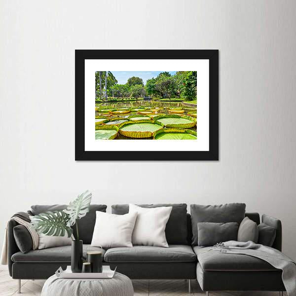 Victoria Amazonica Giant Water Lilies Canvas Wall Art-3 Horizontal-Gallery Wrap-25" x 16"-Tiaracle