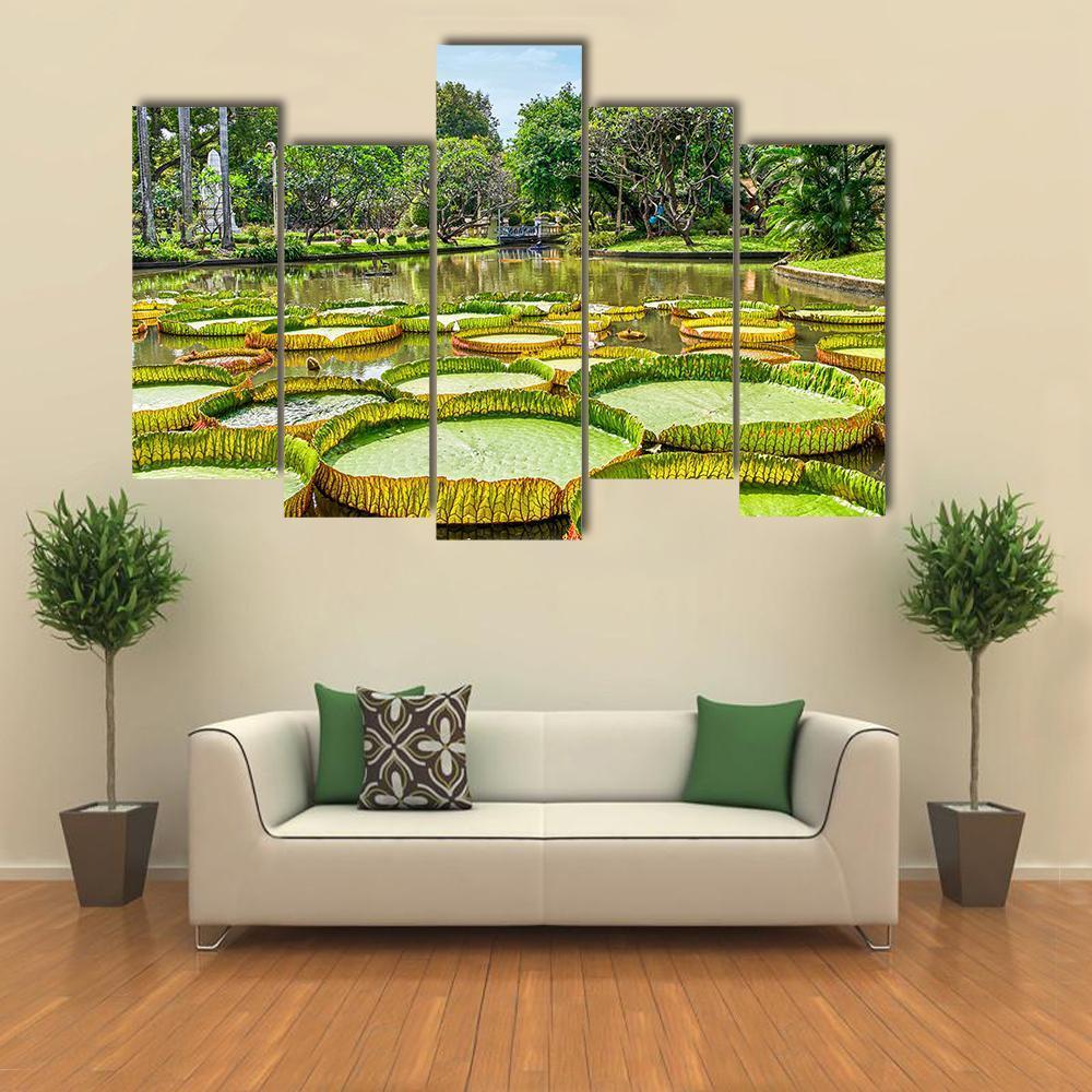 Victoria Amazonica Giant Water Lilies Canvas Wall Art-5 Pop-Gallery Wrap-47" x 32"-Tiaracle