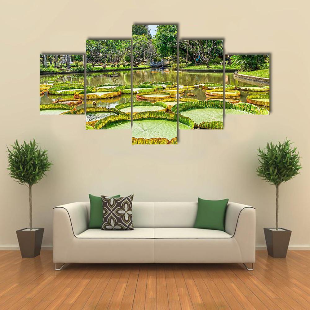 Victoria Amazonica Giant Water Lilies Canvas Wall Art-5 Star-Gallery Wrap-62" x 32"-Tiaracle
