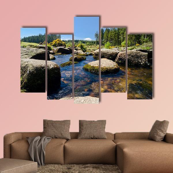 View Of Bellever Forest And Dart River In England Canvas Wall Art-5 Pop-Gallery Wrap-47" x 32"-Tiaracle