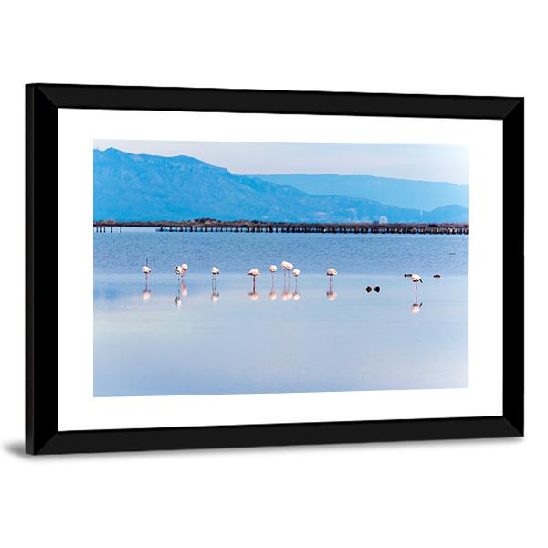 View Of Flamingo Group In Water Canvas Wall Art-3 Horizontal-Gallery Wrap-25" x 16"-Tiaracle