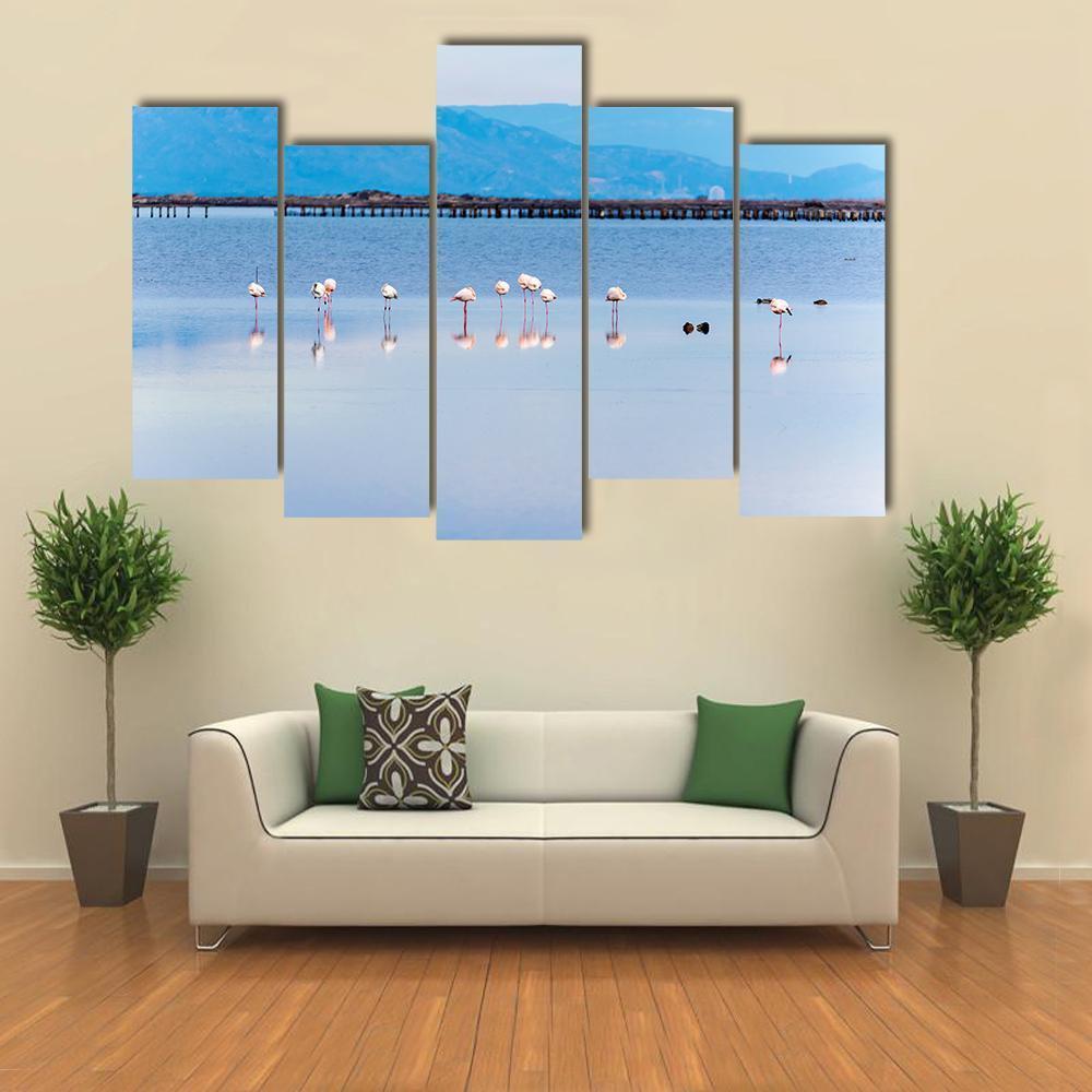 View Of Flamingo Group In Water Canvas Wall Art-5 Pop-Gallery Wrap-47" x 32"-Tiaracle