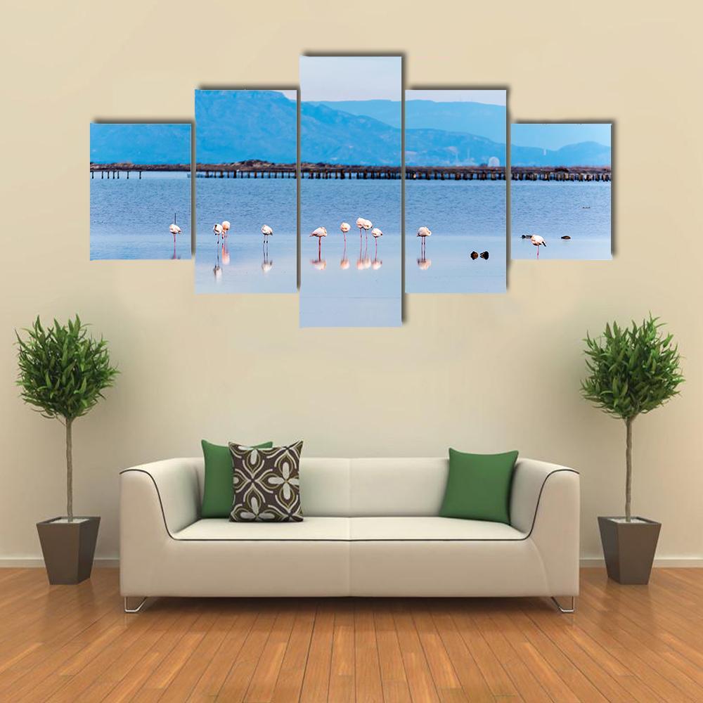 View Of Flamingo Group In Water Canvas Wall Art-5 Star-Gallery Wrap-62" x 32"-Tiaracle