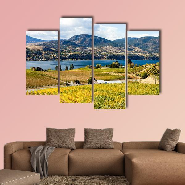 View Of Grape Vineyards In Canada Canvas Wall Art-4 Pop-Gallery Wrap-50" x 32"-Tiaracle