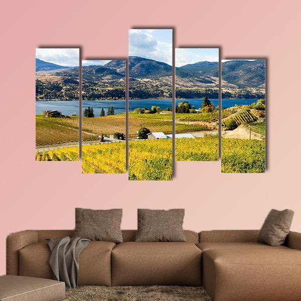 View Of Grape Vineyards In Canada Canvas Wall Art-5 Pop-Gallery Wrap-47" x 32"-Tiaracle