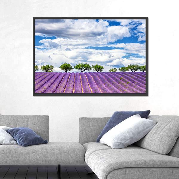 View Of Lavender Field In France Canvas Wall Art-5 Horizontal-Gallery Wrap-22" x 12"-Tiaracle