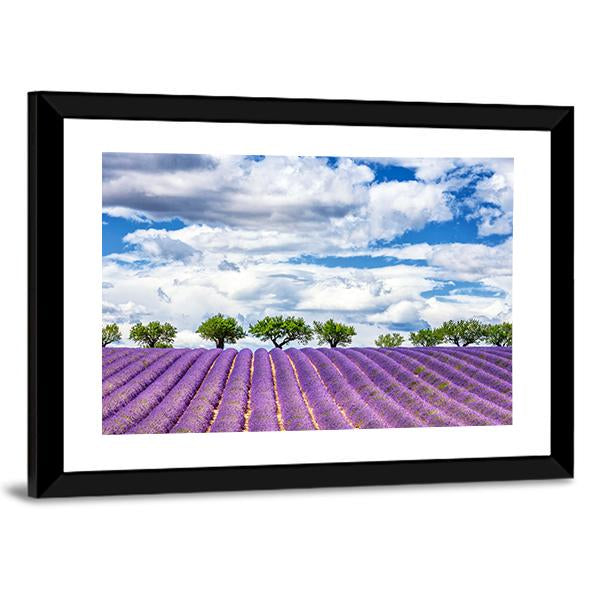 View Of Lavender Field In France Canvas Wall Art-3 Horizontal-Gallery Wrap-25" x 16"-Tiaracle