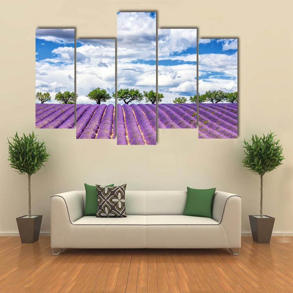View Of Lavender Field In France Canvas Wall Art-5 Pop-Gallery Wrap-47" x 32"-Tiaracle