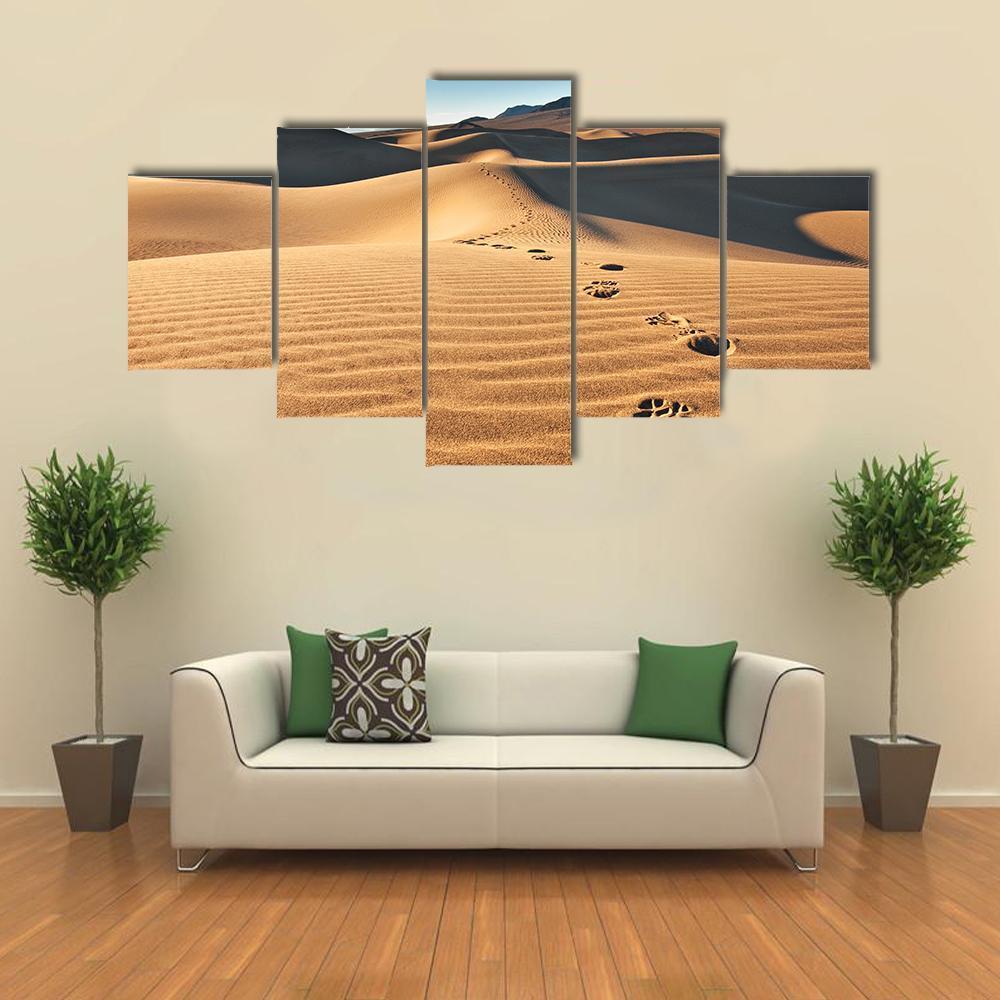 View Of Mesquite Flat Sand Dunes Canvas Wall Art-5 Star-Gallery Wrap-62" x 32"-Tiaracle