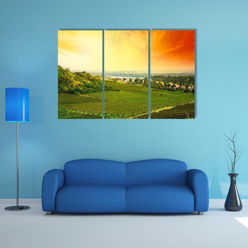View To Vineyard In Serbia Canvas Wall Art-3 Horizontal-Gallery Wrap-37" x 24"-Tiaracle