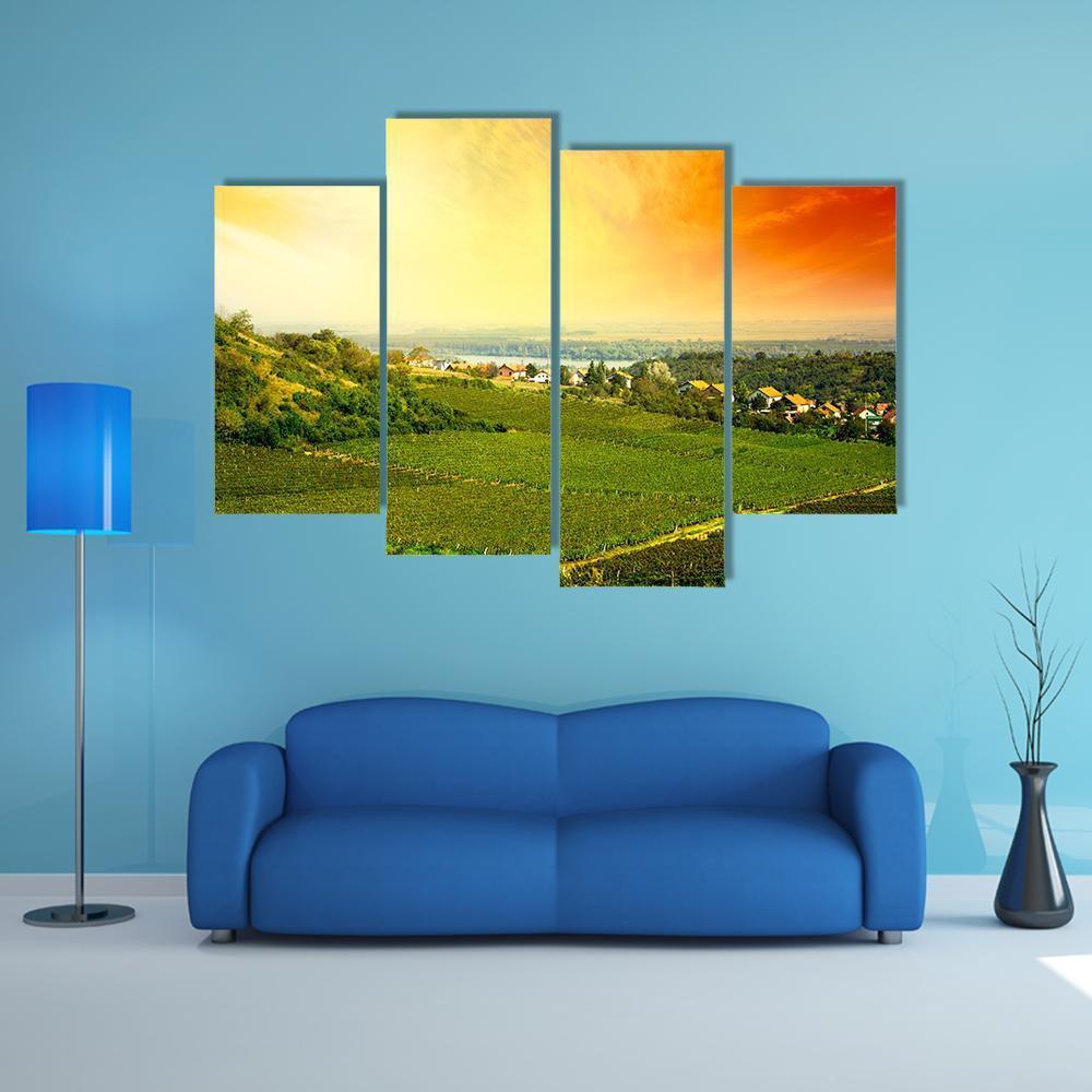 View To Vineyard In Serbia Canvas Wall Art-4 Pop-Gallery Wrap-50" x 32"-Tiaracle