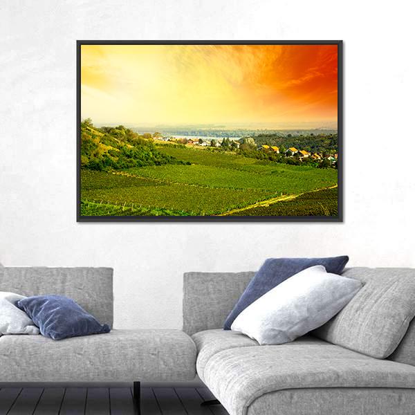 View To Vineyard In Serbia Panoramic Canvas Wall Art-1 Piece-36" x 12"-Tiaracle