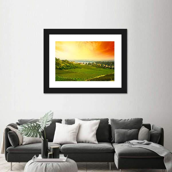View To Vineyard In Serbia Panoramic Canvas Wall Art-1 Piece-36" x 12"-Tiaracle