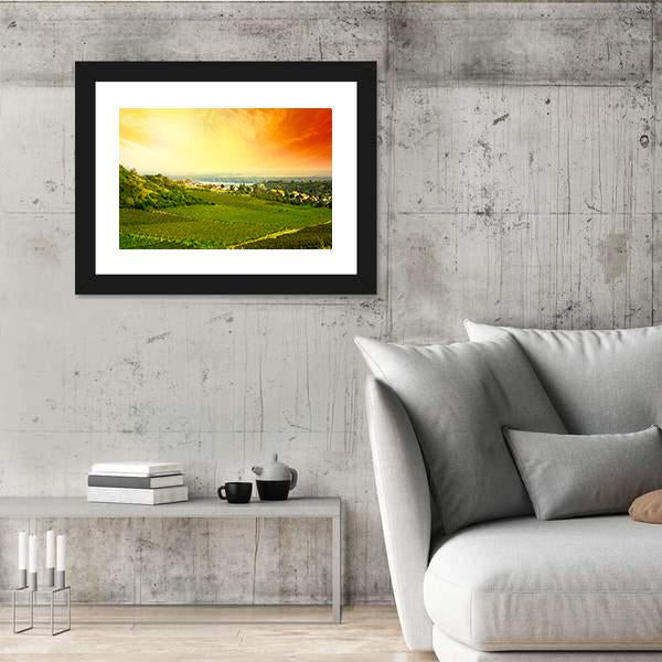 View To Vineyard In Serbia Panoramic Canvas Wall Art-1 Piece-36" x 12"-Tiaracle