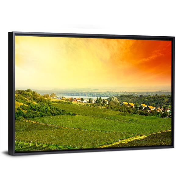 View To Vineyard In Serbia Panoramic Canvas Wall Art-1 Piece-36" x 12"-Tiaracle
