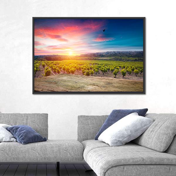 Vineyard At Sunset In The Chianti Region Canvas Wall Art-3 Horizontal-Gallery Wrap-25" x 16"-Tiaracle