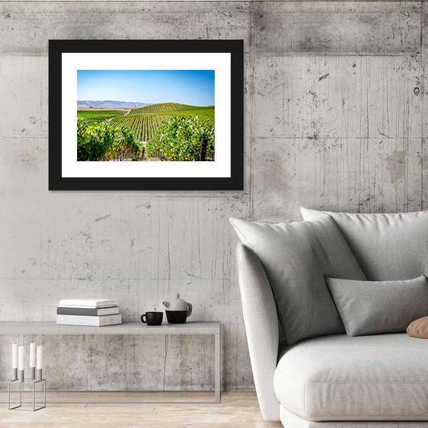 Vineyard in Napa Valley California Canvas Wall Art-3 Horizontal-Gallery Wrap-25" x 16"-Tiaracle