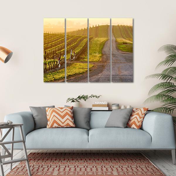 Vineyards Landscape At Sunrise In California Canvas Wall Art-4 Horizontal-Gallery Wrap-34" x 24"-Tiaracle