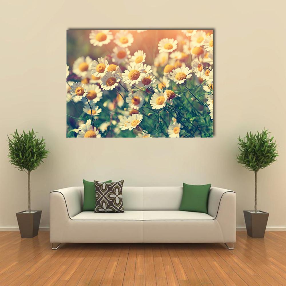 Vintage Wild Chamomile Flowers Canvas Wall Art-1 Piece-Gallery Wrap-36" x 24"-Tiaracle