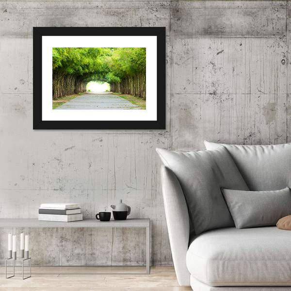 Walkway Flanked On Both Sides With Bamboo Forest Canvas Wall Art-5 Horizontal-Gallery Wrap-22" x 12"-Tiaracle