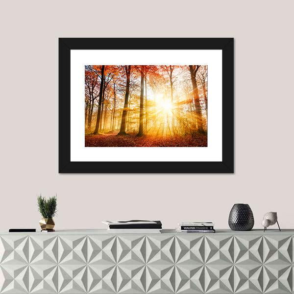 Warm Autumn Scenery In A Forest With The Sun Rays Canvas Wall Art-1 Piece-Framed Print-20" x 16"-Tiaracle