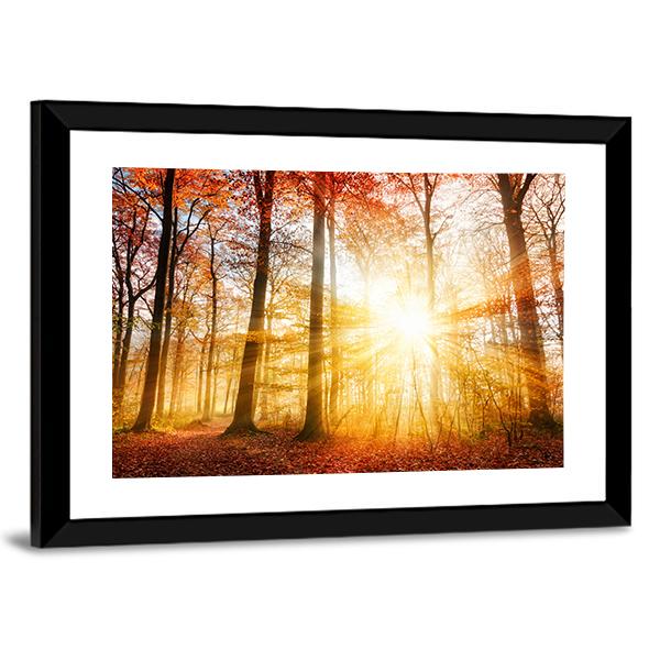 Warm Autumn Scenery In A Forest With The Sun Rays Canvas Wall Art-3 Horizontal-Gallery Wrap-25" x 16"-Tiaracle