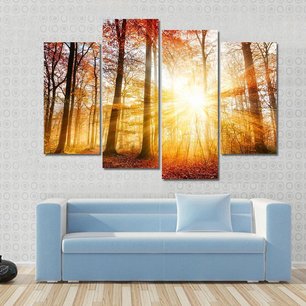 Warm Autumn Scenery In A Forest With The Sun Rays Canvas Wall Art-4 Pop-Gallery Wrap-50" x 32"-Tiaracle
