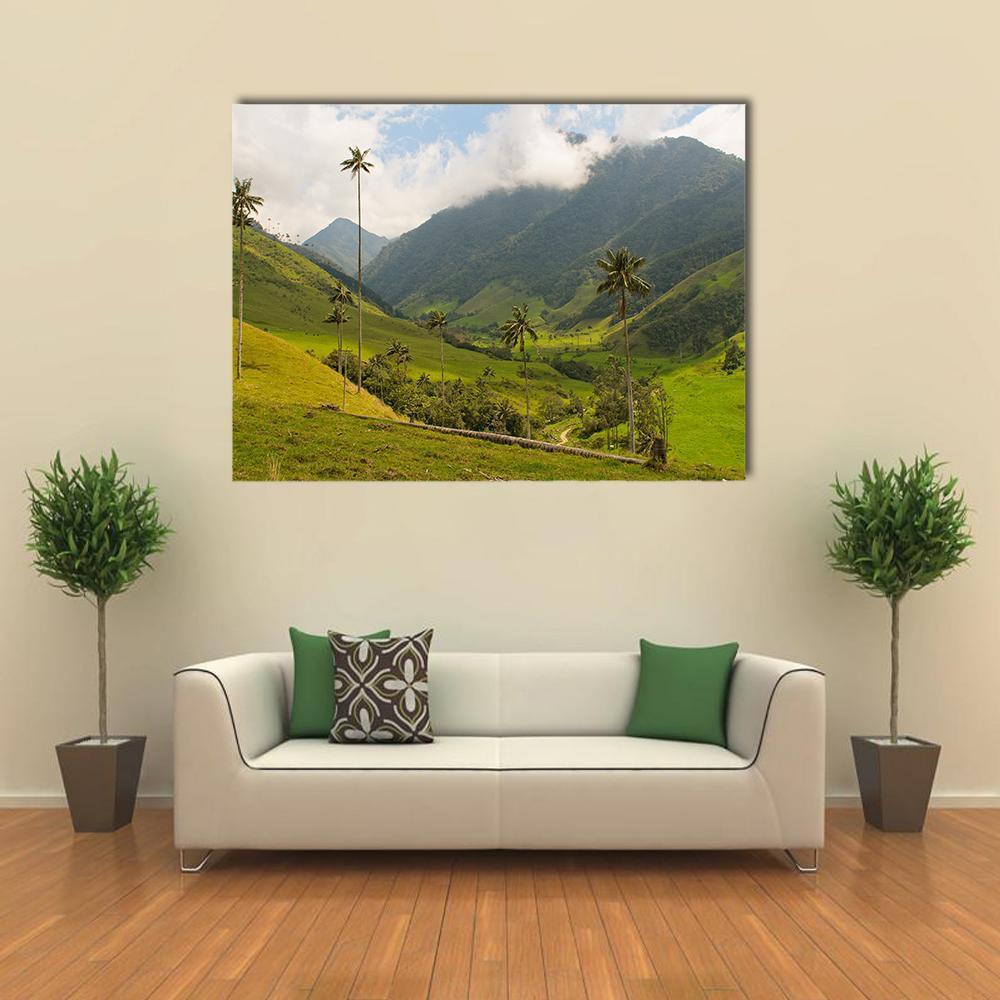 Wax Palm Trees Of Cocora Valley Canvas Wall Art-1 Piece-Gallery Wrap-48" x 32"-Tiaracle