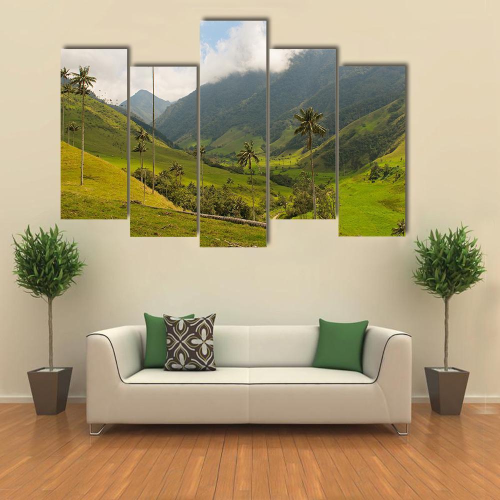 Wax Palm Trees Of Cocora Valley Canvas Wall Art-5 Pop-Gallery Wrap-47" x 32"-Tiaracle