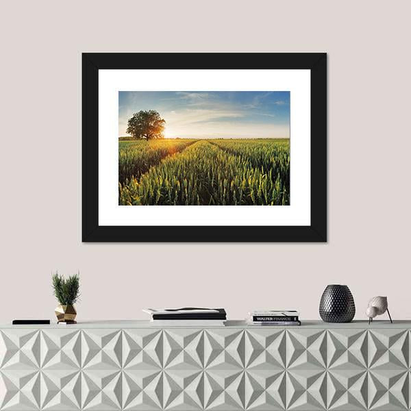 Wheat Field At Sunset Panoramic Canvas Wall Art-1 Piece-36" x 12"-Tiaracle