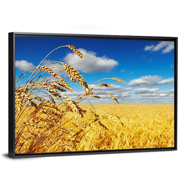 Wheat Field Panoramic Canvas Wall Art-1 Piece-36" x 12"-Tiaracle