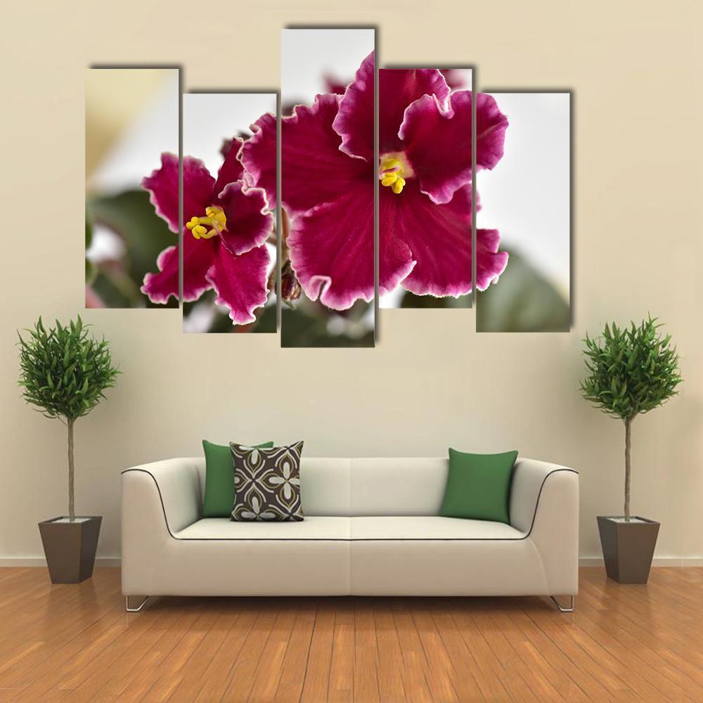White And Red Fresh Flowers Canvas Wall Art-5 Pop-Gallery Wrap-47" x 32"-Tiaracle