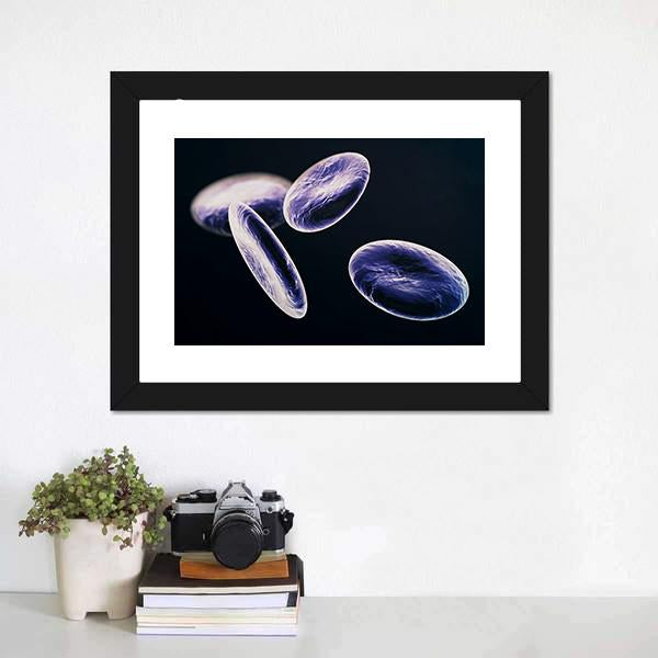 White Blood Cells Canvas Wall Art-1 Piece-Framed Print-20" x 16"-Tiaracle