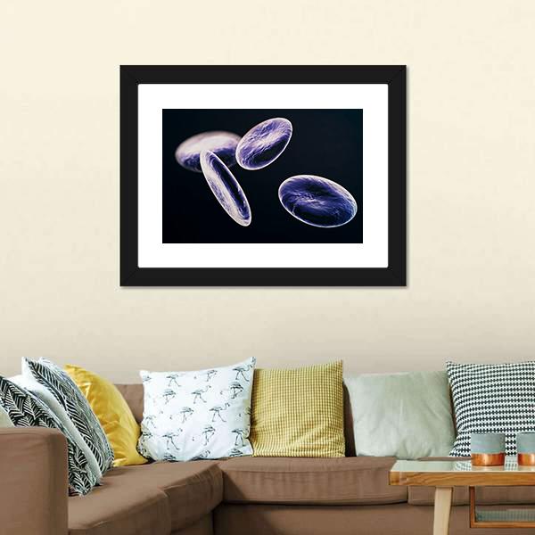 White Blood Cells Canvas Wall Art-3 Horizontal-Gallery Wrap-25" x 16"-Tiaracle
