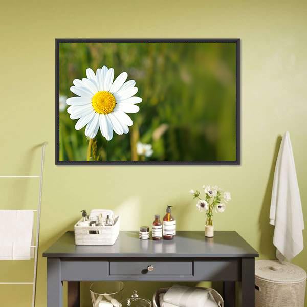 White Marguerite Flower Canvas Wall Art-3 Horizontal-Gallery Wrap-25" x 16"-Tiaracle