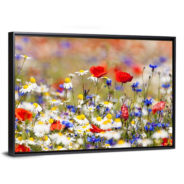 Wild Flowers On The Meadow At Spring Time Canvas Wall Art-3 Horizontal-Gallery Wrap-25" x 16"-Tiaracle