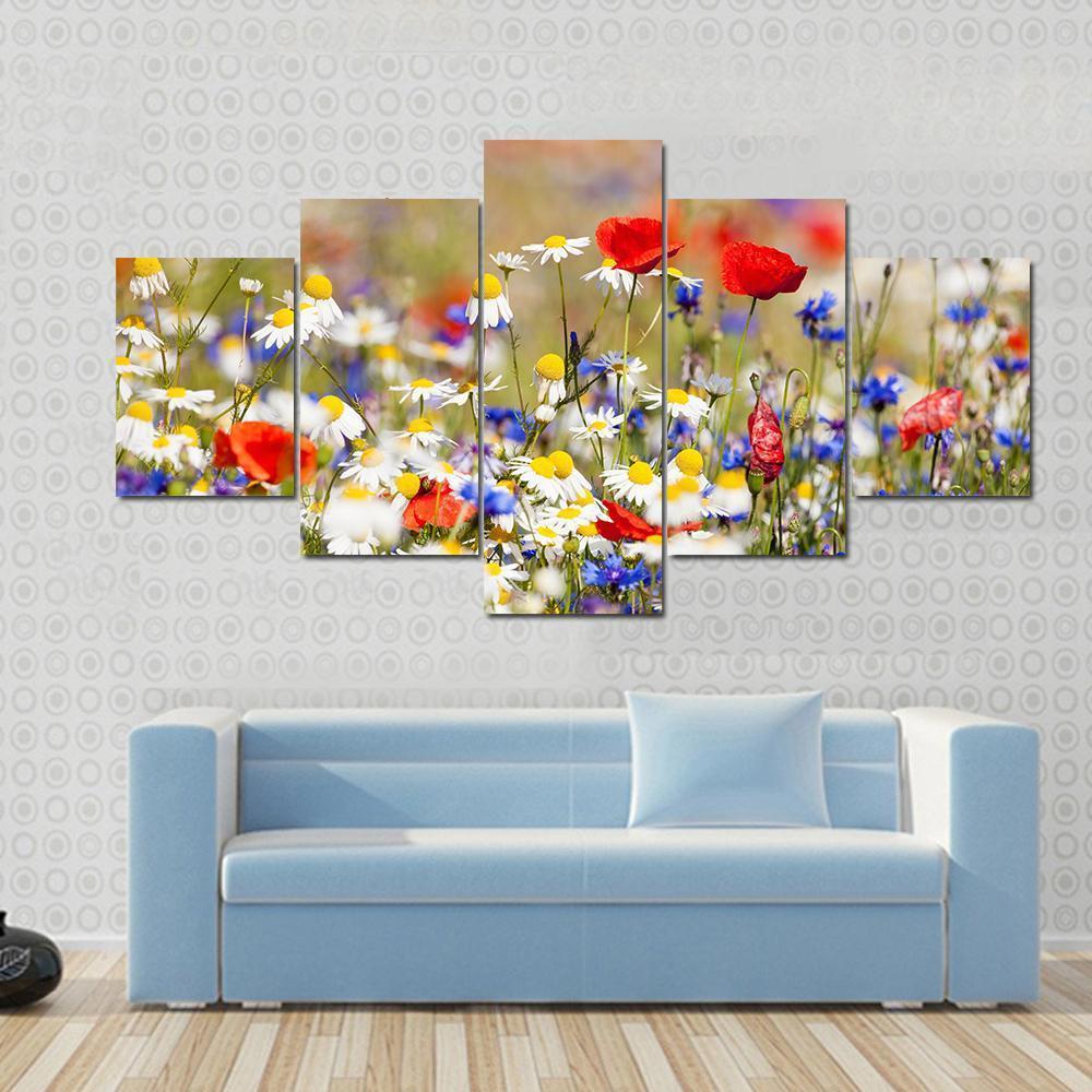 Wild Flowers On The Meadow At Spring Time Canvas Wall Art-5 Star-Gallery Wrap-62" x 32"-Tiaracle