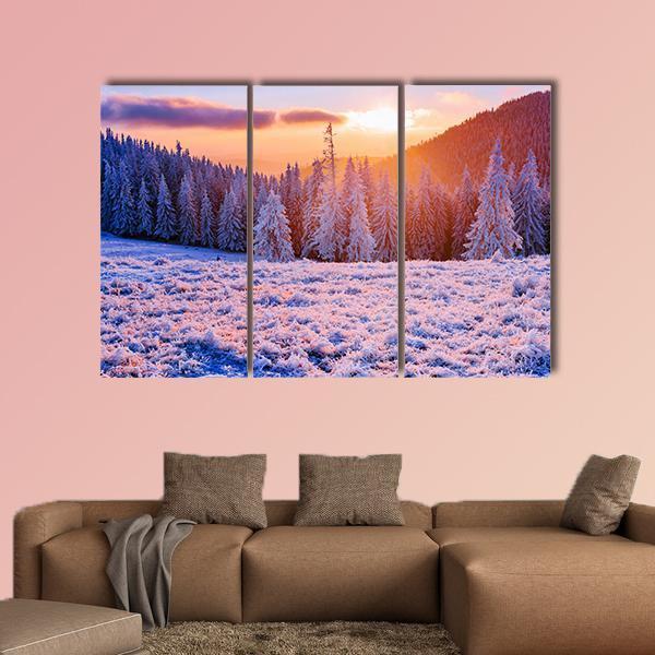 Winter Landscape Trees In Frost Canvas Wall Art-3 Horizontal-Gallery Wrap-37" x 24"-Tiaracle