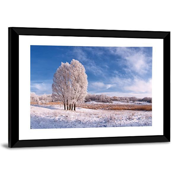 Winter Landscape With Frozen Tree In Field And Blue Sky With Clouds Canvas Wall Art-5 Horizontal-Gallery Wrap-22" x 12"-Tiaracle