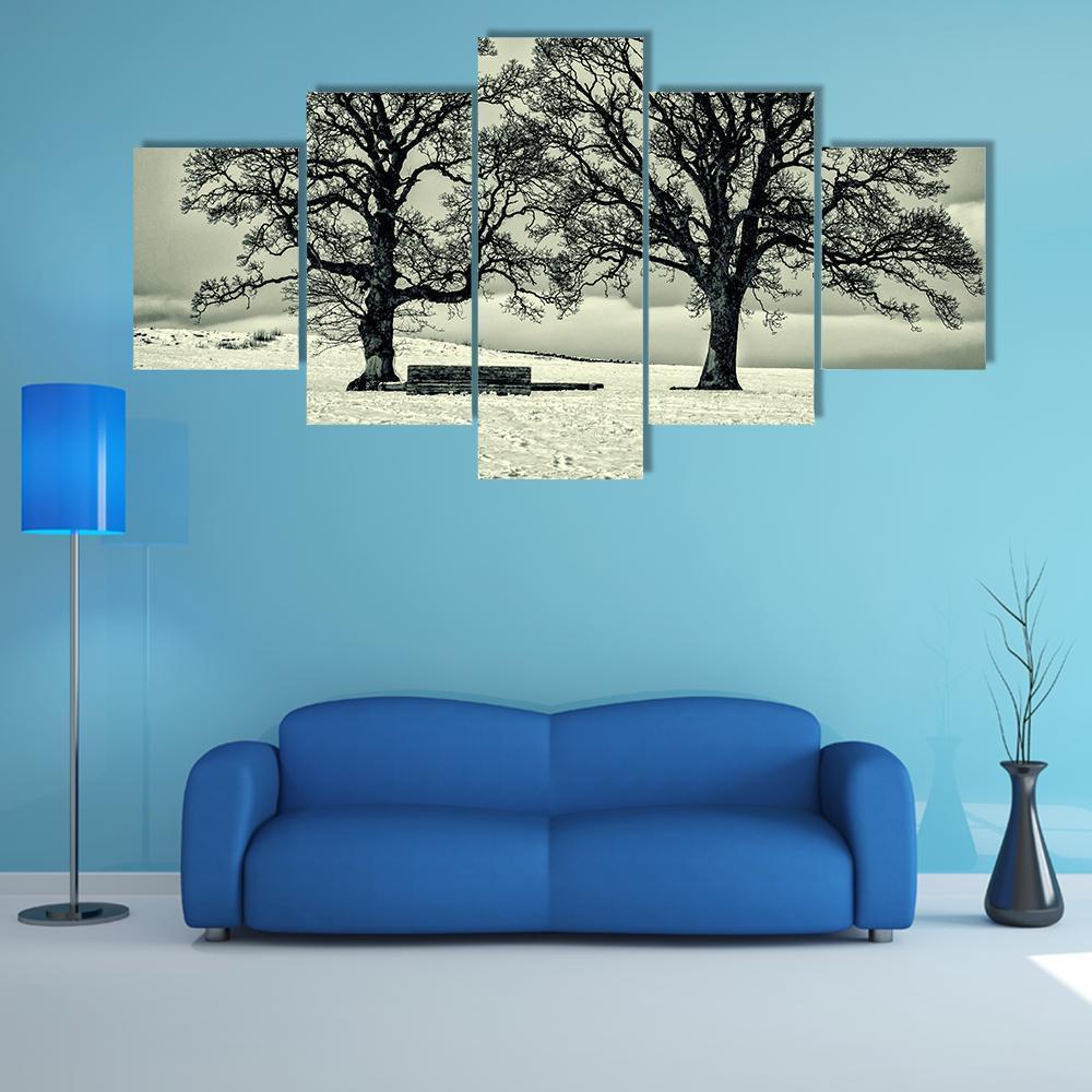 Winter Trees On Scottish Borders Canvas Wall Art-5 Star-Gallery Wrap-62" x 32"-Tiaracle