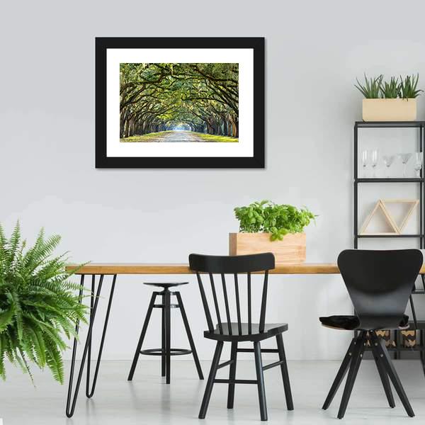 Wormsloe Tree Tunnel Panoramic Canvas Wall Art-1 Piece-36" x 12"-Tiaracle