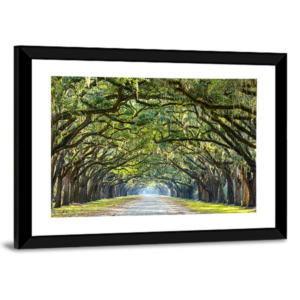 Wormsloe Tree Tunnel Vertical Canvas Wall Art-3 Vertical-Gallery Wrap-12" x 25"-Tiaracle