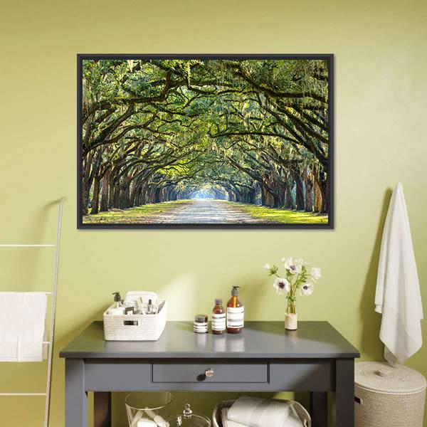 Wormsloe Tree Tunnel Vertical Canvas Wall Art-3 Vertical-Gallery Wrap-12" x 25"-Tiaracle