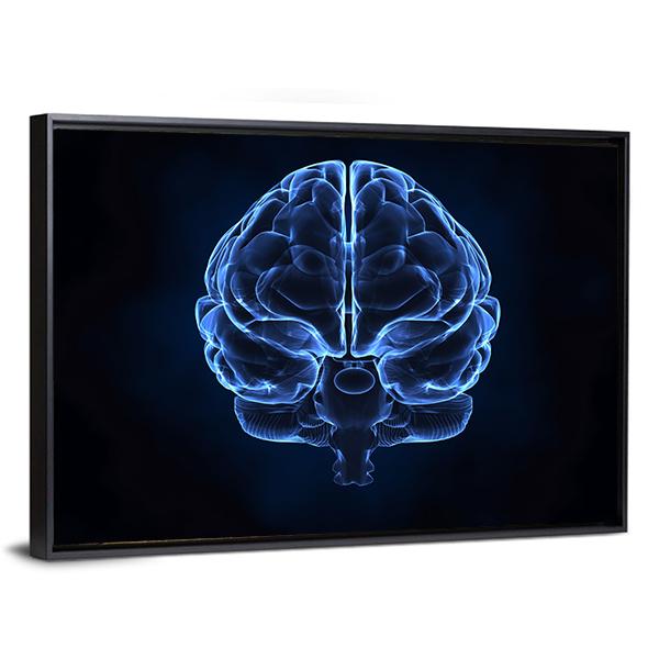 X-Ray Of Human Brain Canvas Wall Art-3 Horizontal-Gallery Wrap-25" x 16"-Tiaracle