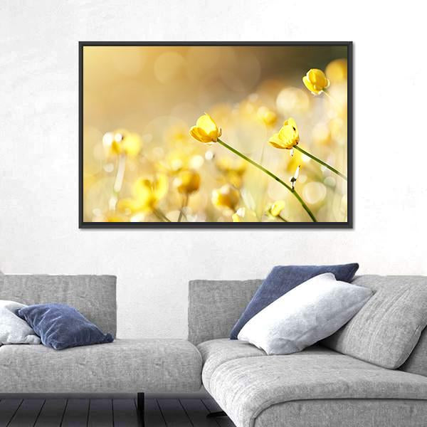 Yellow Flowers Of A Buttercup On A Meadow Lit With The Sun Canvas Wall Art-3 Horizontal-Gallery Wrap-25" x 16"-Tiaracle