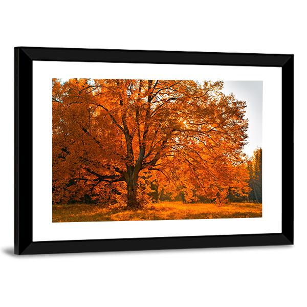 Yellow Leaves In Autumn Canvas Wall Art-3 Horizontal-Gallery Wrap-25" x 16"-Tiaracle